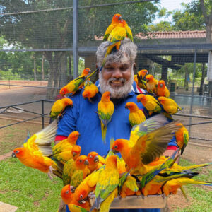 RIDIYAGAMA SAFARI AND BIRD PARK HAMBANTHOTA   1-DAY TOUR