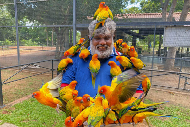 RIDIYAGAMA SAFARI AND BIRD PARK HAMBANTHOTA   1-DAY TOUR