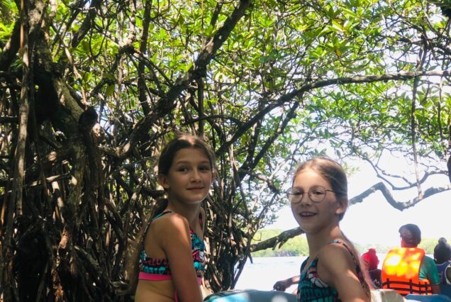 Madu Ganga River One-Day Tour