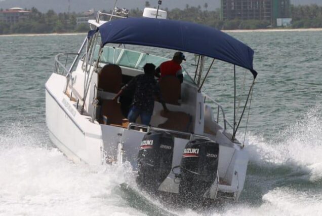 WHALE WATCHING AND VIP FISHING  TOUR  (Private tours)