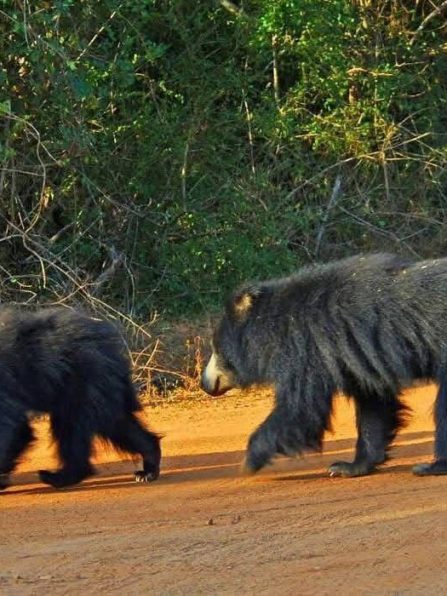 WhatsApp Image 2025-08-14 at 16.52.49 (1)