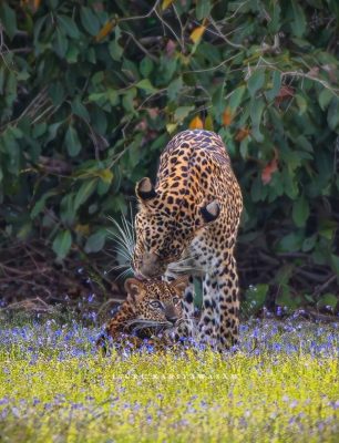 WhatsApp Image 2025-08-14 at 16.53.39